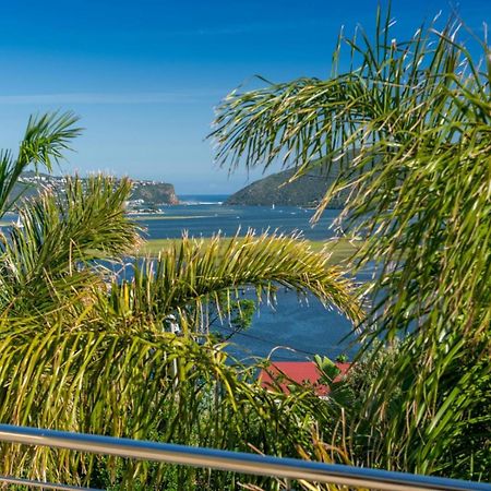 Guest House The Lazy Lion Knysna Bagian luar foto