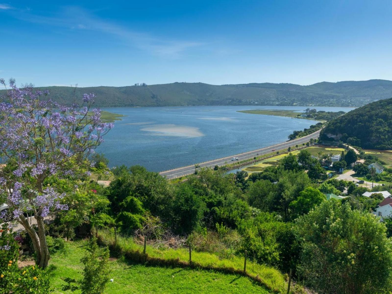 Guest House The Lazy Lion Knysna Bagian luar foto