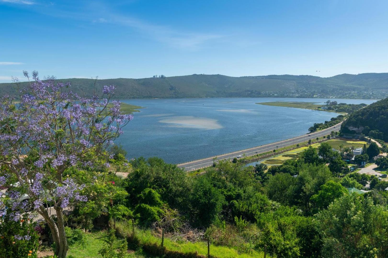 Guest House The Lazy Lion Knysna Bagian luar foto