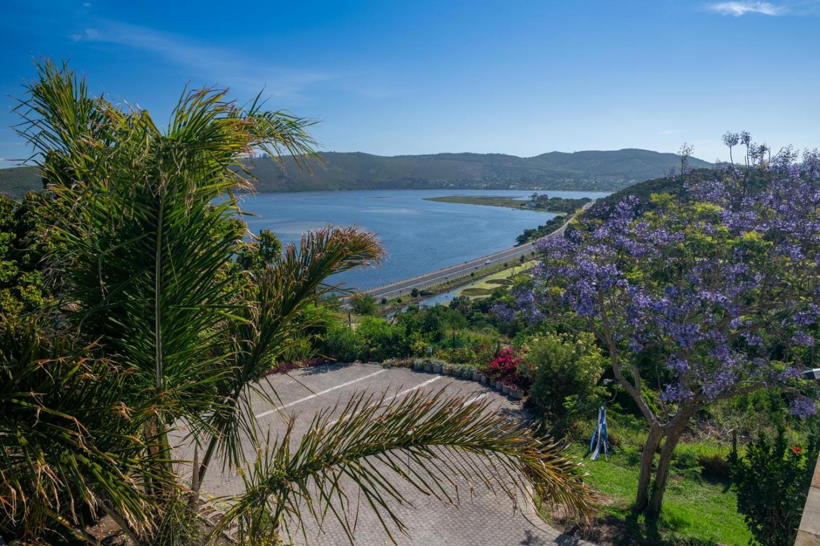 Guest House The Lazy Lion Knysna Bagian luar foto